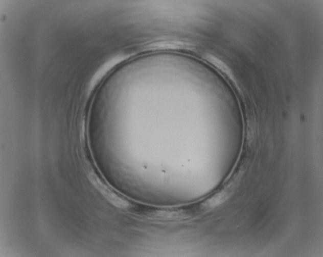 X0000067951179200604272052