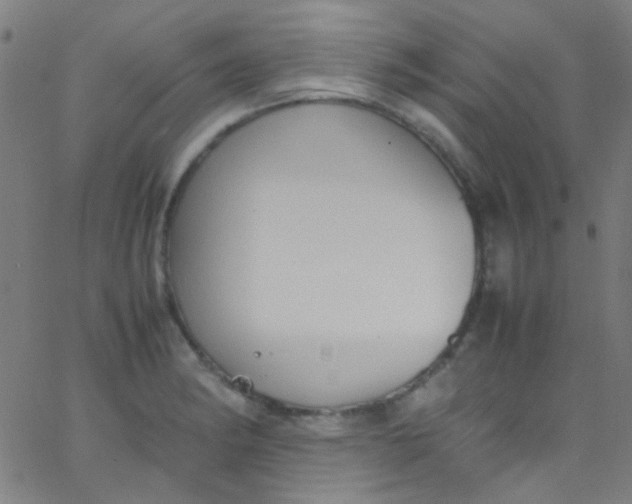 X0000067951182200604272051