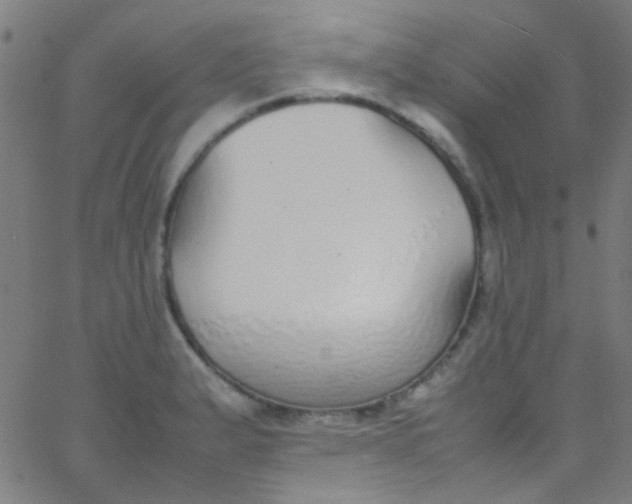 X0000067951183200604272051