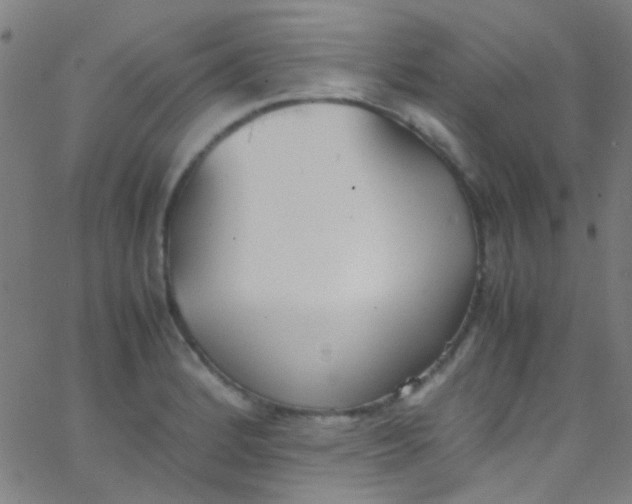 X0000067951184200604272051