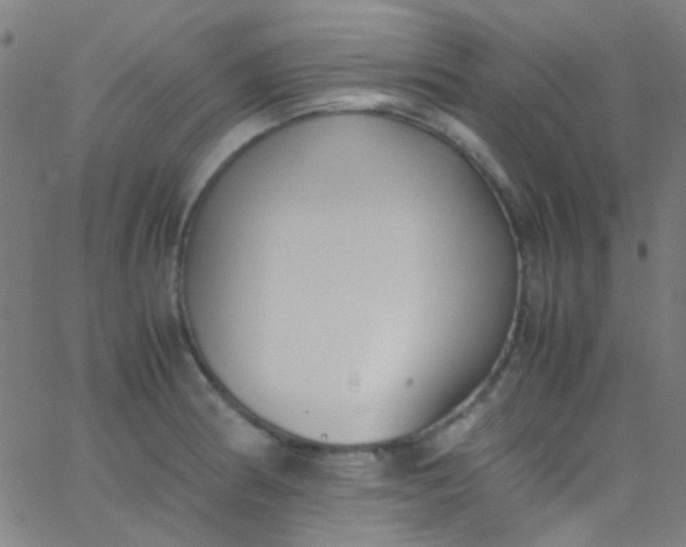 X0000067951186200604272051