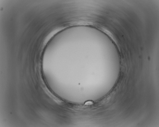 X0000067951187200604272051