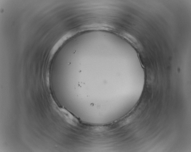 X0000067951188200604272051