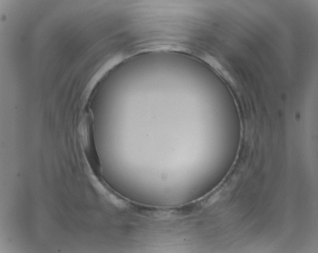 X0000067951189200604272051