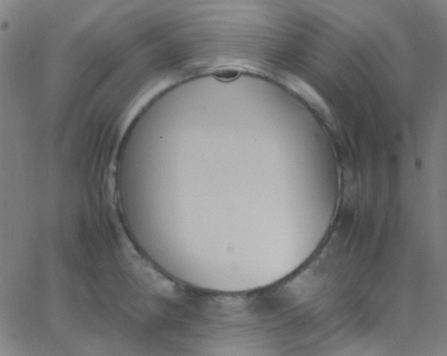 X0000067951190200604272051