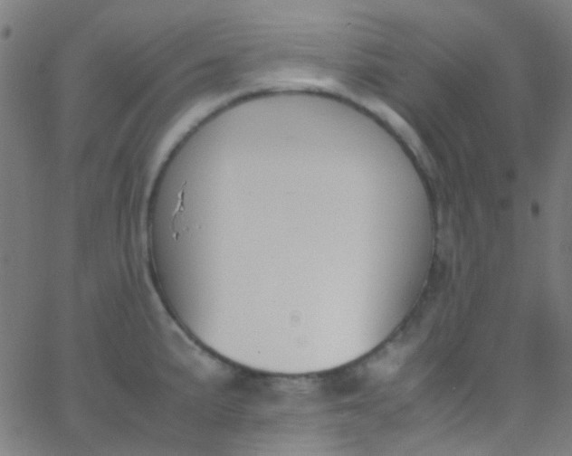 X0000067951191200604272051