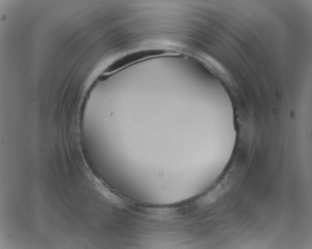 X0000067951192200604272051