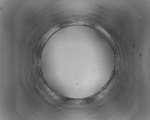 X0000067951193200604272051