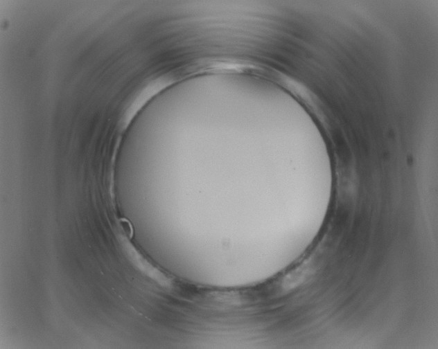 X0000067951194200604272051