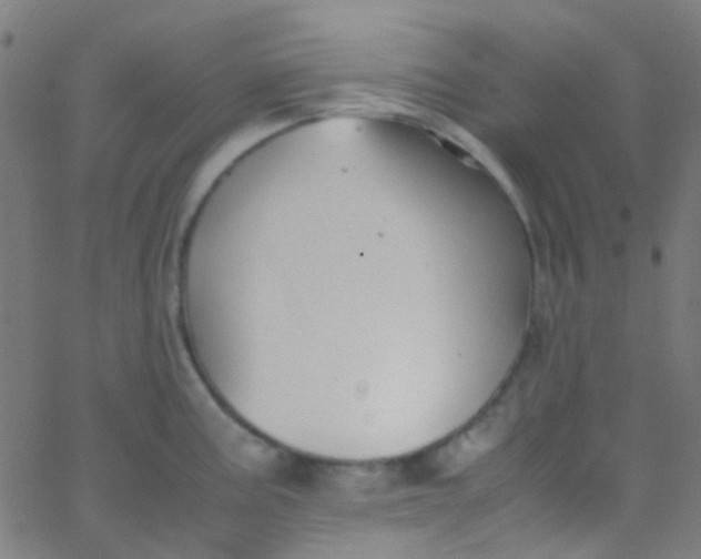 X0000067951195200604272051