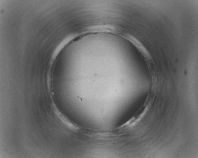 X0000067951196200604272051