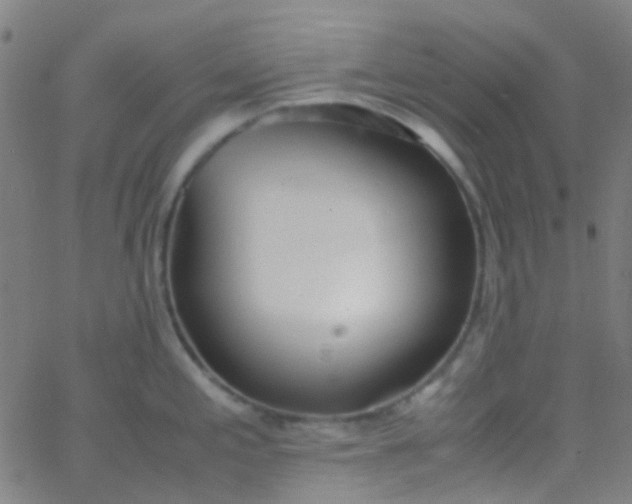 X0000067951197200604272051