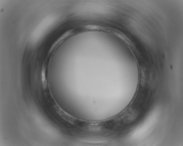 X0000067951198200604272051