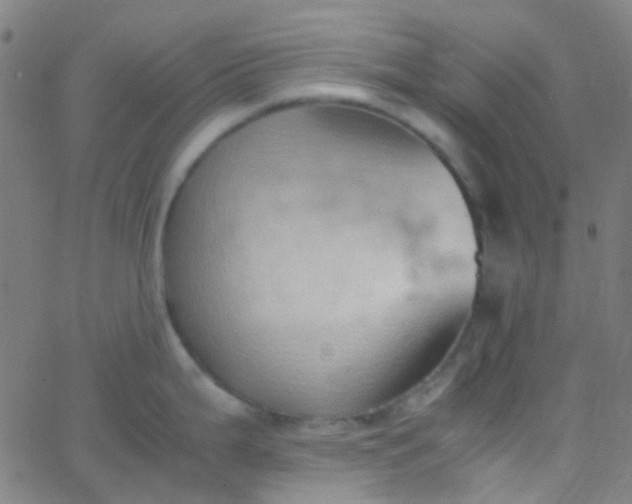 X0000067951199200604272051