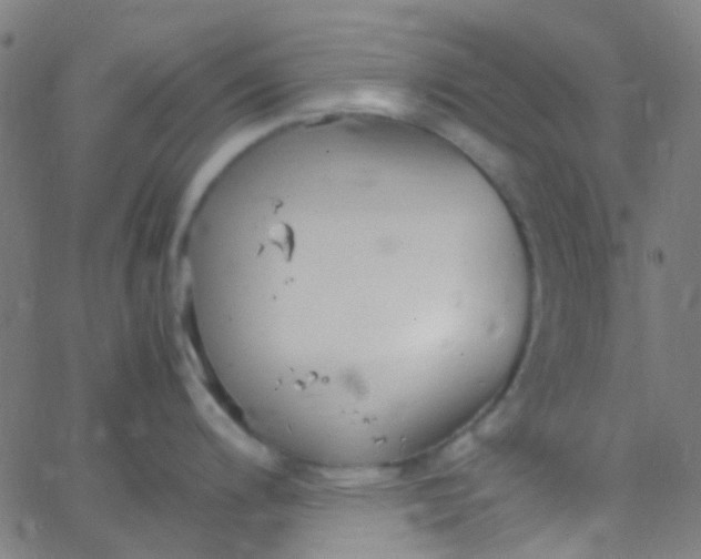 X0000067951200200604272051