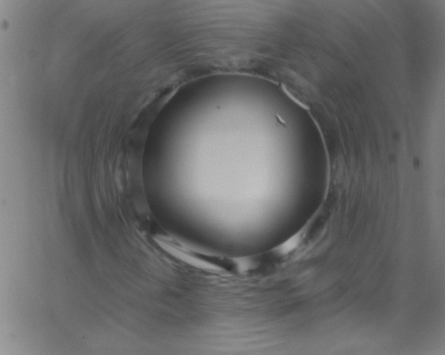 X0000067951202200604272050