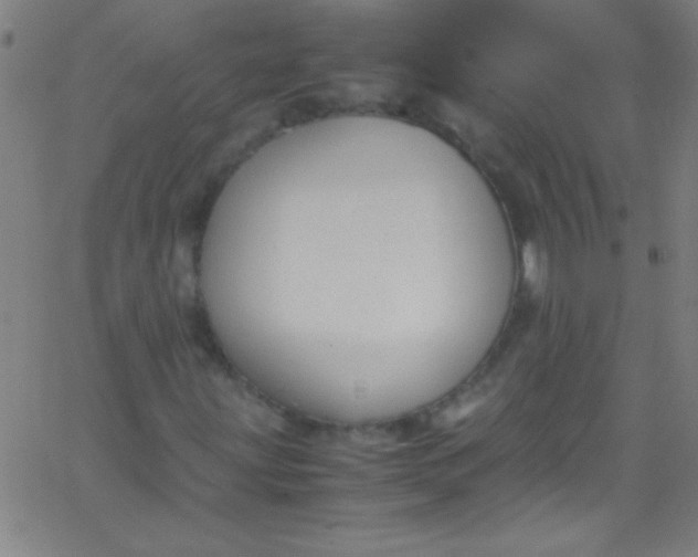 X0000067951203200604272050