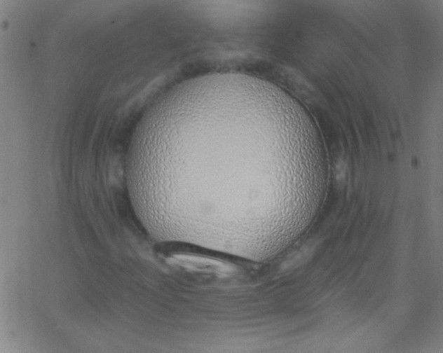 X0000067951204200604272050