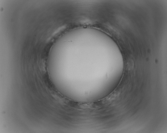 X0000067951205200604272050