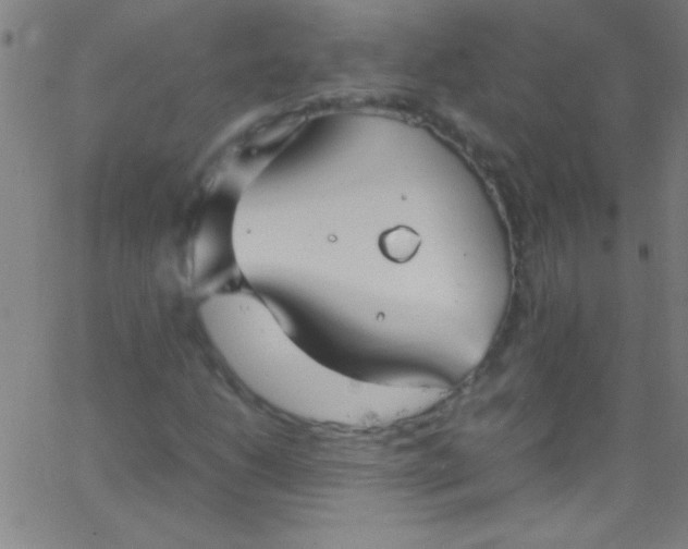 X0000067951206200604272051