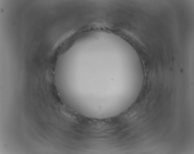 X0000067951207200604272051