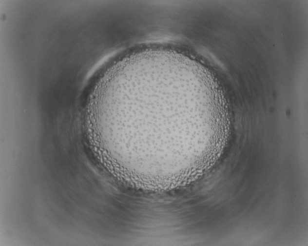 X0000067951208200604272051