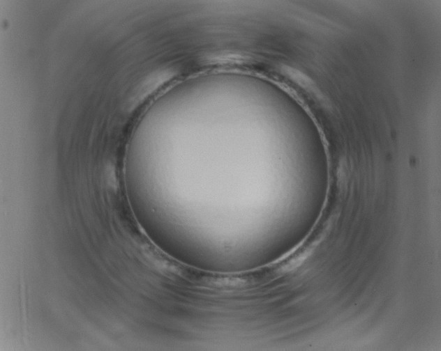 X0000067951209200604272051