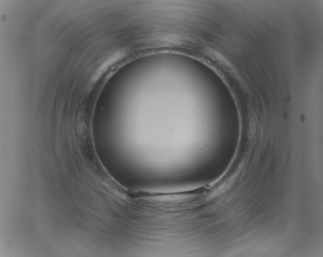 X0000067951210200604272051