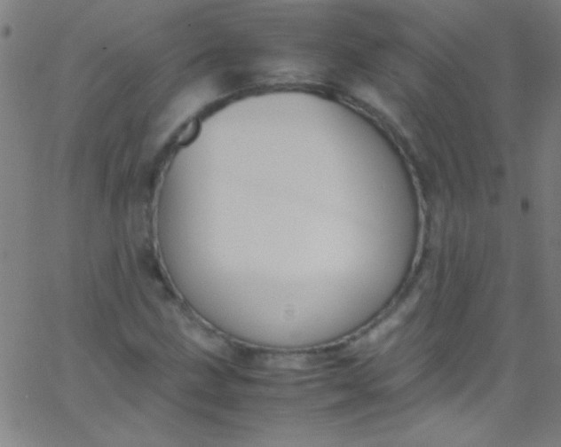 X0000067951211200604272051