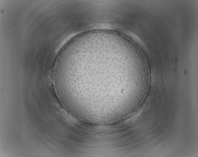 X0000067951212200604272051