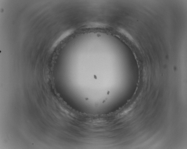 X0000067951213200604272051