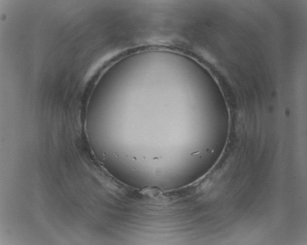 X0000067951214200604272051