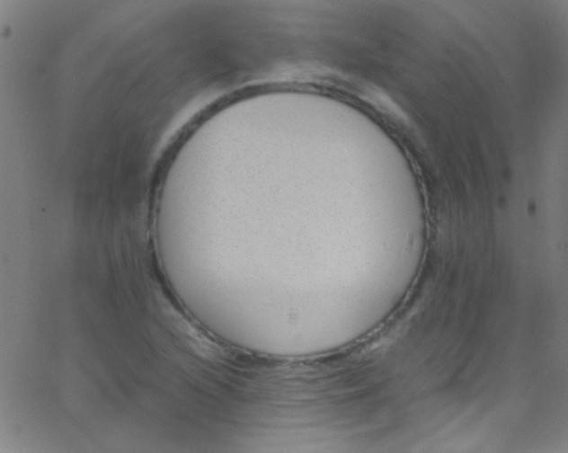 X0000067951216200604272051