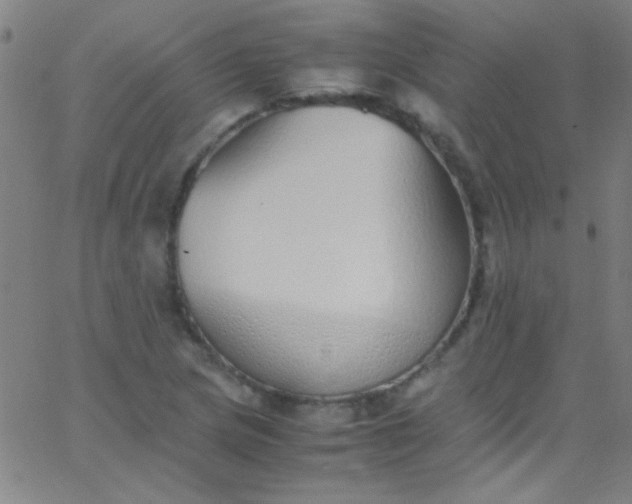 X0000067951217200604272051