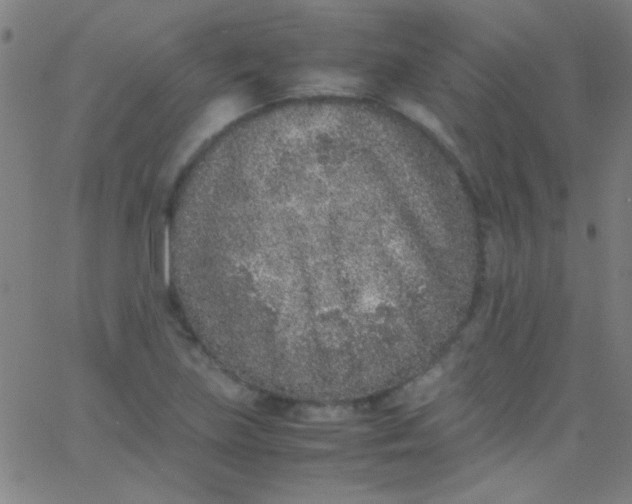 X0000067951219200604272051