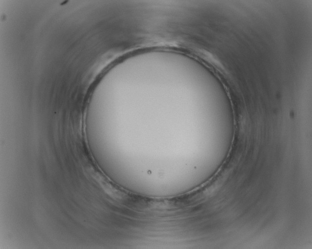 X0000067951220200604272051