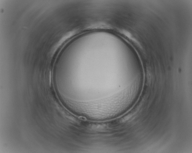 X0000067951221200604272051