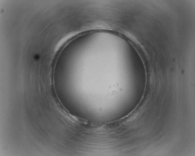 X0000067951222200604272051