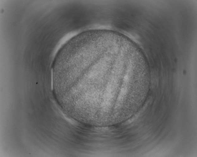 X0000067951223200604272051