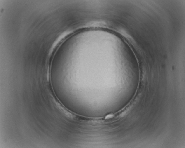 X0000067951224200604272051