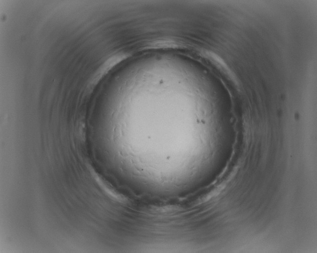 X0000067951225200604272051