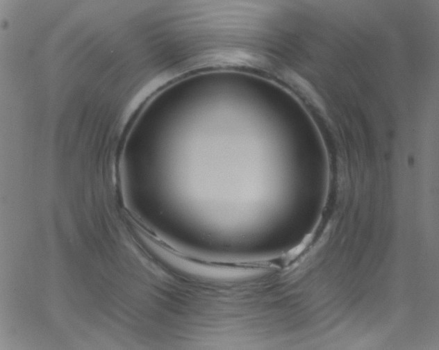 X0000067951226200604272051