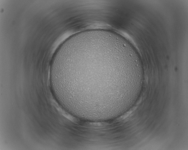 X0000067951227200604272051