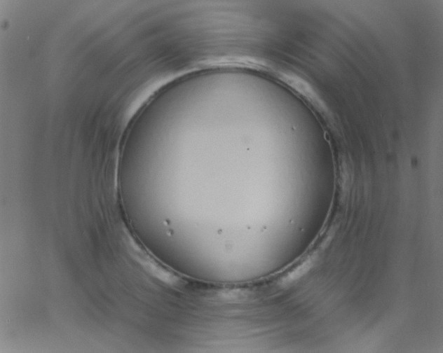 X0000067951228200604272051