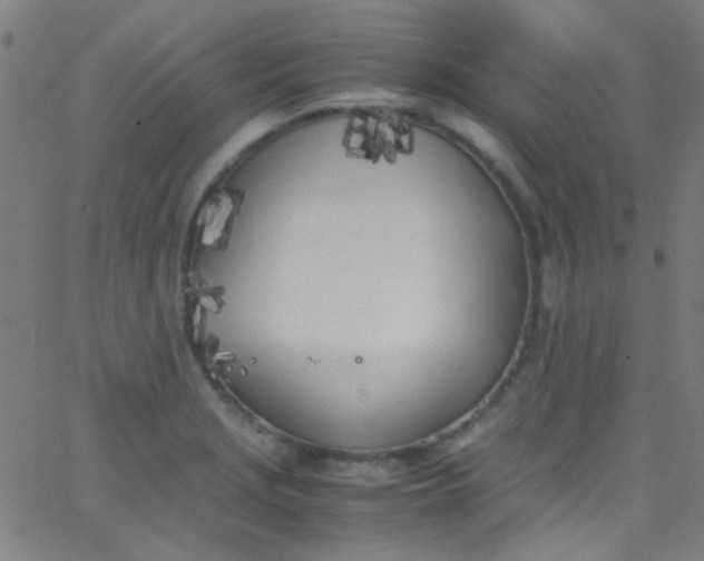 X0000067951229200604272051