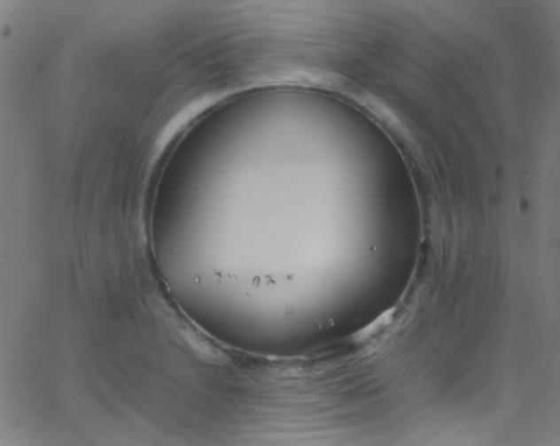 X0000067951230200604272051