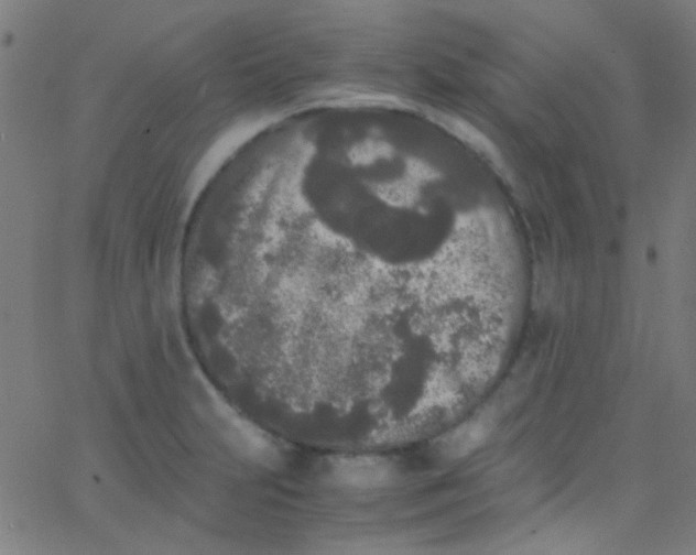 X0000067951231200604272051