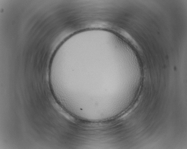 X0000067951232200604272051