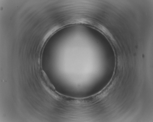 X0000067951234200604272051