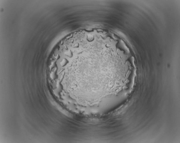 X0000067951235200604272051